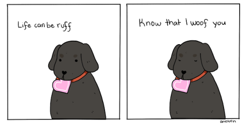 cupcakelogic:dog has something to say