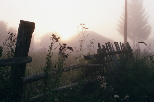 brutalgeneration:  V (by Sevenedition) 