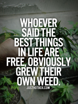 kushandwizdom:  Click here for more weed quotes 