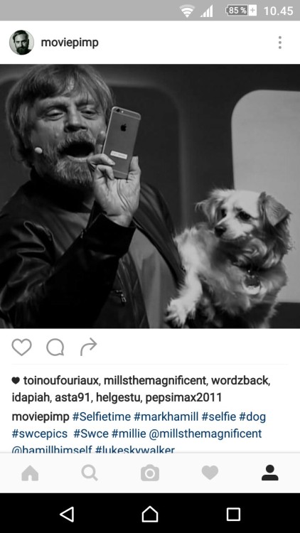 Mark Hamill’s dog Millie liked my picture on instagram 😜