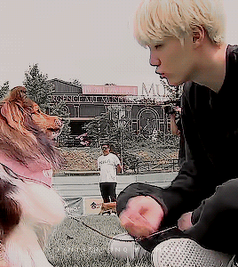Min Yoongi & Dogs