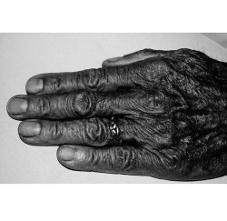 kushandwizdom:  These hands hold the wisest