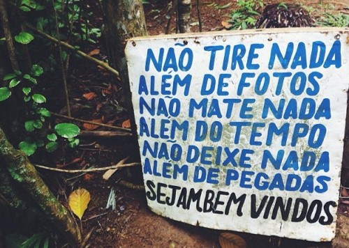 Hoje o sofrimento virou poesia