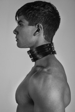 Collared Boys