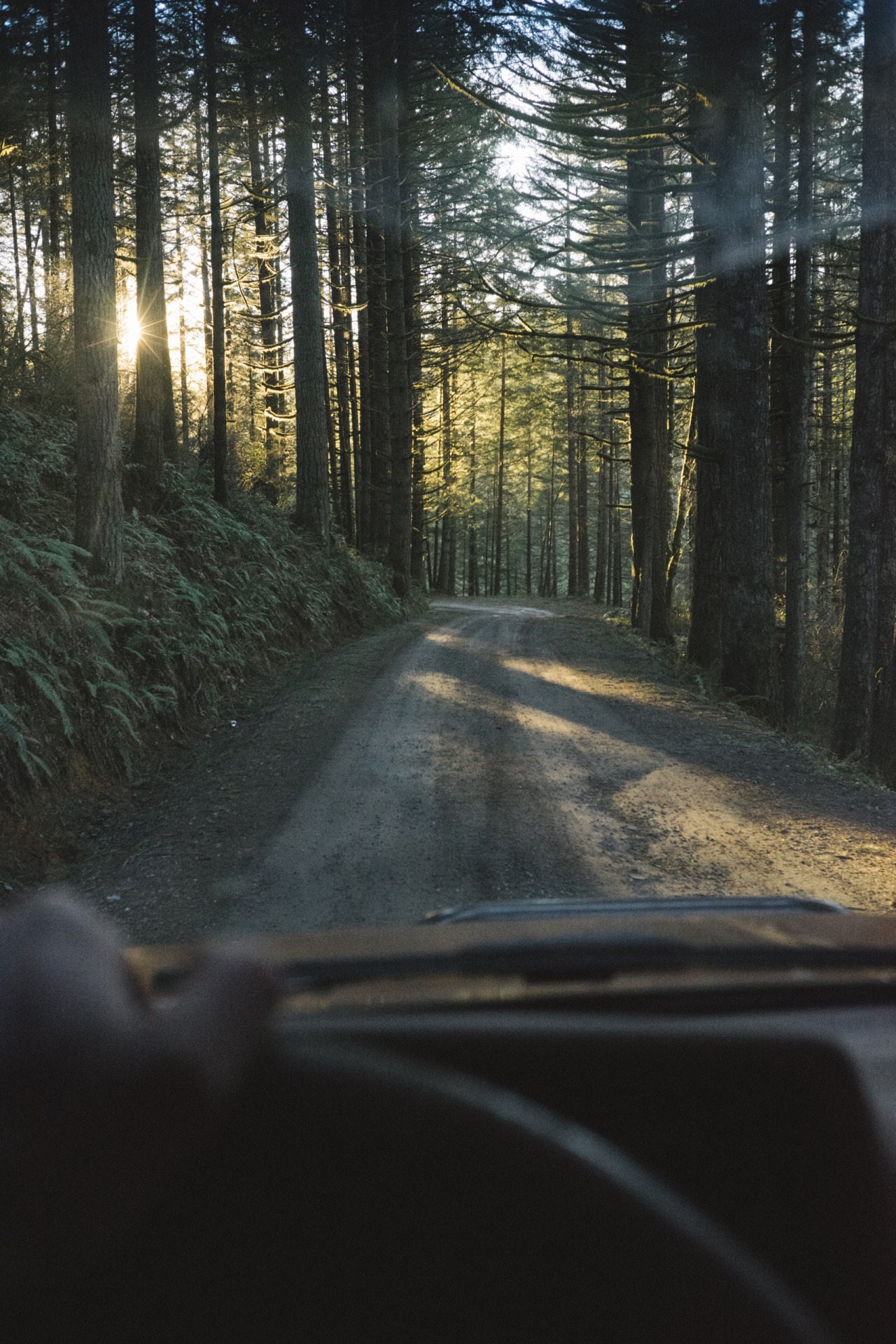 outofreception:  On the way to the Silver Stars 