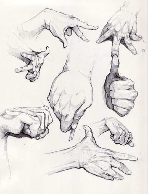 fucktonofanatomyreferencesreborn:A glamorous fuck-ton of hand references.[From various sources]