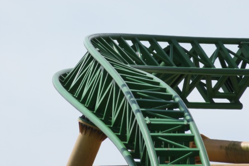 Cheetah Hunt