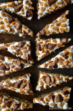 do-not-touch-my-food:  Peanut Butter S’mores Bars