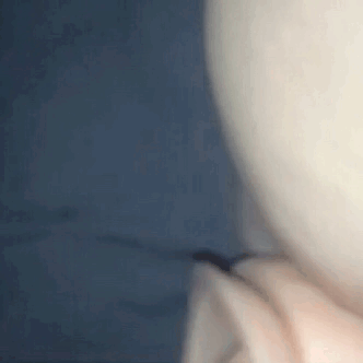a-chubby-kinky-bitch:  Tumblr doesn’t let us have nice things, so here’s a gif
