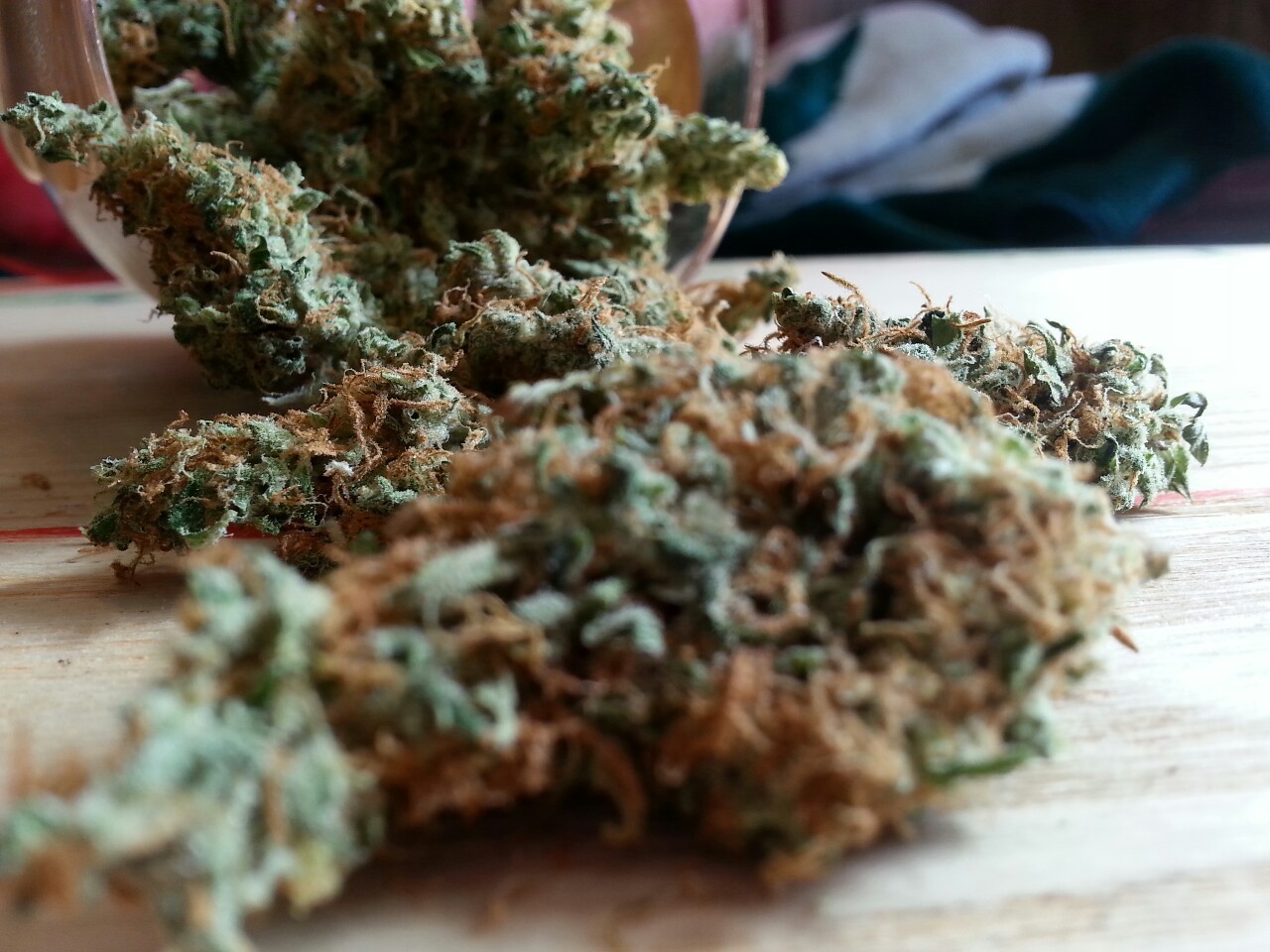 smoketogethighcustheworldissolow:  Cheers!