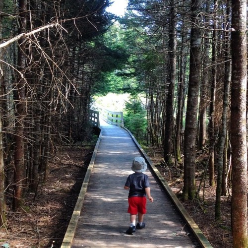 Off exploring nature… (at Fundy National Park)