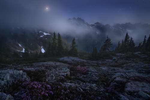 renamonkalou: The Veil of Night | Eric Thiessen  Vancouver Island