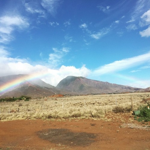 amyhsk: Lee Jong Suk Instagram Update 1 May 2015-(1)U-Ah It’s Rainbow! Even though I want to g