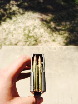 dailyzoot:  BANG BANG