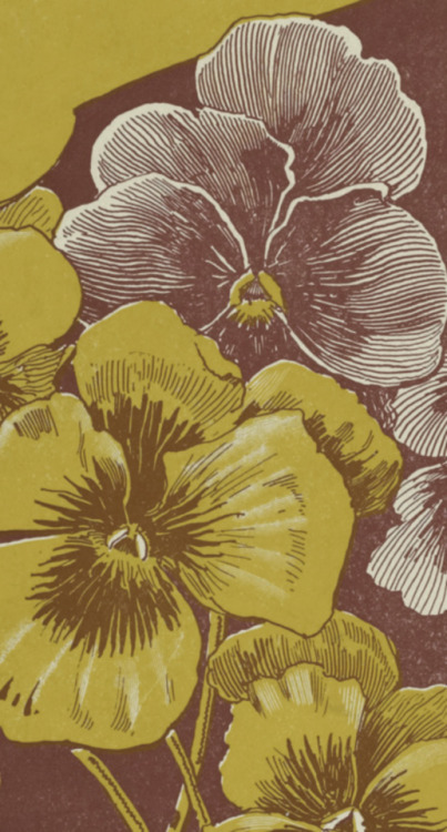 When pansies bloom again sheet music cover (detail) - 1899 - via NYPL