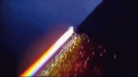 withallthingslove:   Come on Joy, one more time. I got a feeling on this one.  