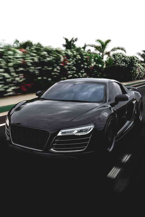 motivationsforlife:  R8 V10 by Boden Autohaus