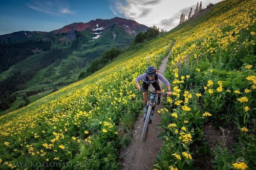 hizokucycles:Reposted from @koz_ - I’m not sure what happened to summer, let alone fall, but an earl