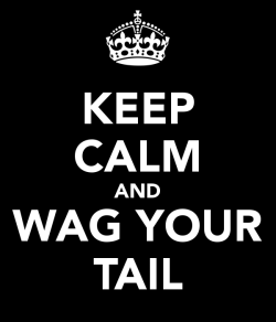 leatherlacedbass:  Keep Calm and Wag Your Tail! (Keep caption and all photos intact) 