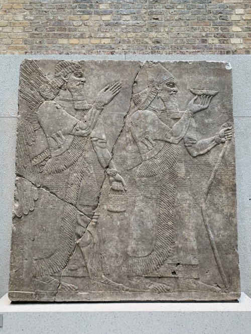 bagdemagus:Relief panel from Room H of the Northwest Palace of Ashurnasirpal II (883-859 BCE) at Kal