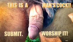 ppsperv:  traci-a:  THIS IS A MAN’S COCK!! SUBMIT, WORSHIP IT. Faggot.  Follow my tumblr—&gt; Pretty Pink Sissy Perv!  