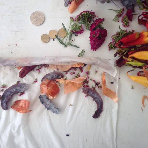 Eco dying with plant materials (wattle seed pods, onion skins, pink yarrow) yesterday.