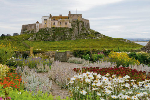 brigantias-isles: The Walled Garden and Lindisfarne Castle, Holy Island, Northumberland.