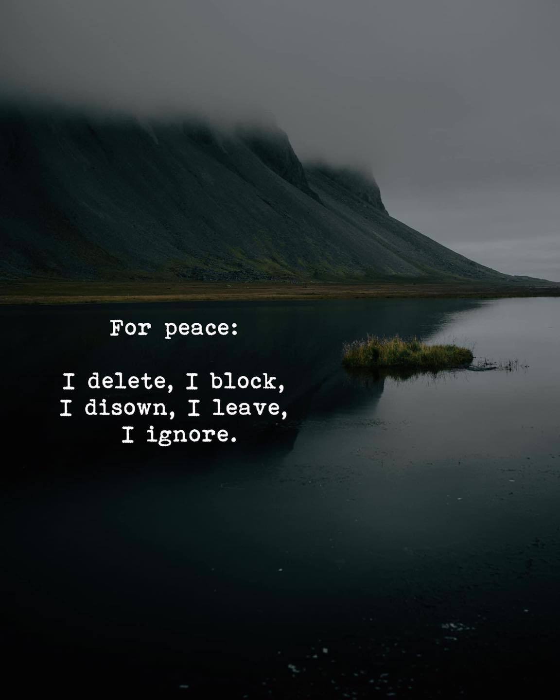 Quotes 'nd Notes - For peace: I delete, I block, I disown, I leave,...