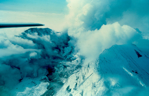 expressions-of-nature: Mount St. Helens, 1980 by Washington DNR