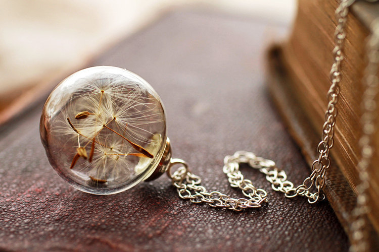 satans-victims:  sosuperawesome:  Crystal terrarium, dandelion, rose, wildflower