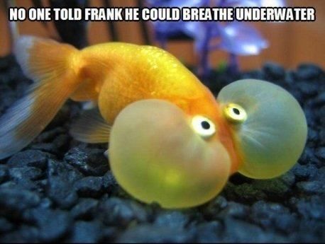 GAHHHHHHHHHAHAHAHAHAHAH! XD
