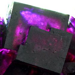 bijoux-et-mineraux:     Fluorite -  Zehntausend Ritter Mine, Frohnau, Erzgebirge, Saxony, Germany         