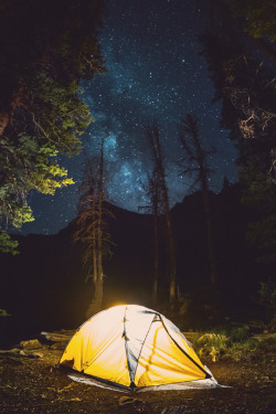 banshy:  Camping Under the Stars  