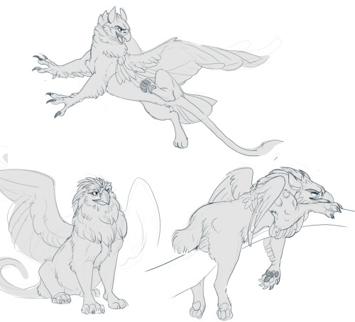 Sketch And Skype Night With Friends, I Drew Some Silly Burds