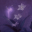 dreamywitchy