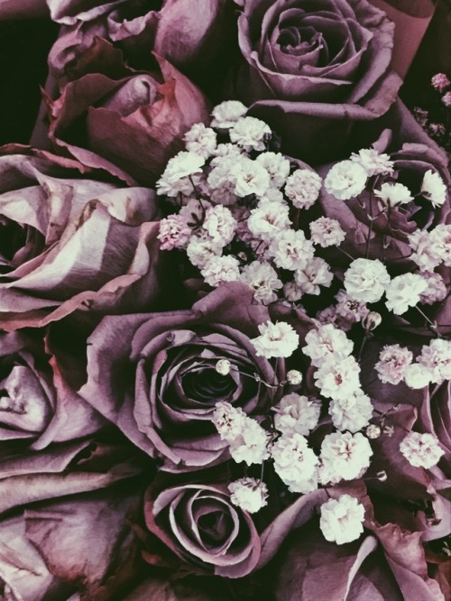 etherealhaxa - Theres just something about purple roses..