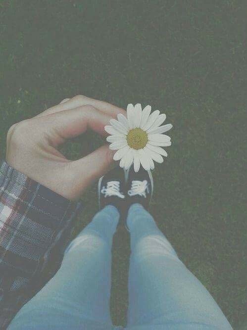 hipster-aesthetics:  hipster blog