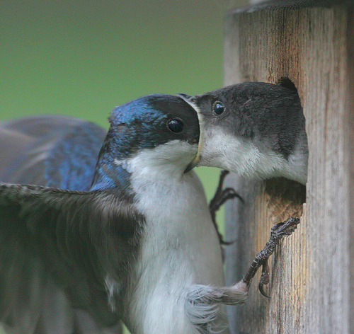 the-absolute-funniest-posts:  It started out with a kiss. How did it end up like