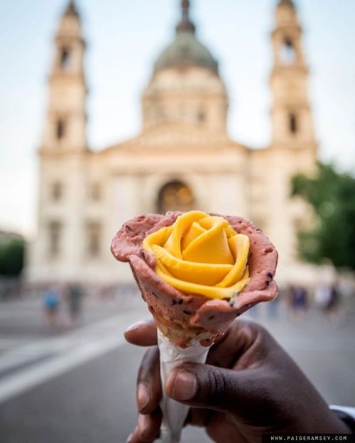 Ah, the famous rose gelato of Budapest. I sadly did not have any. I was so very FULL from dinner I t