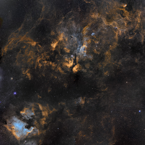 galactic-centre: Clouds in Cygnus Cosmic clouds of gas and dust drift across this magnificent mosaic