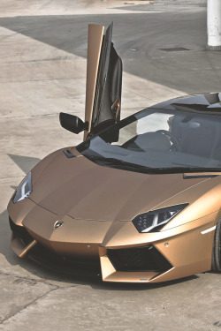 artoftheautomobile:  Lamborghini Aventador