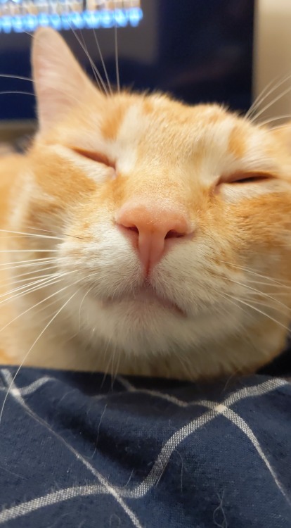 catyeahhh