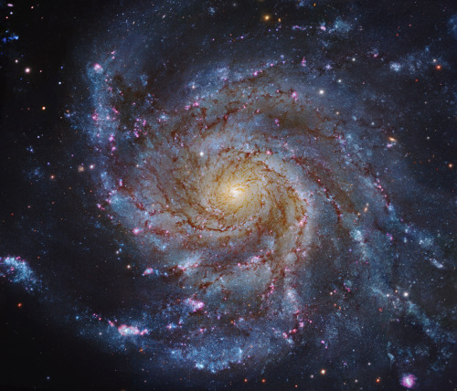 humanoidhistory:Behold the Pinwheel Galaxy, M101.Credit: Image Credit: Subaru Telescope (NAOJ), Hubb