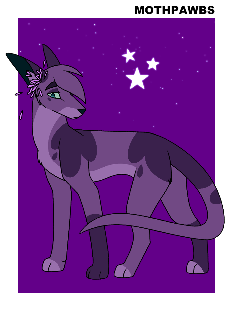 My Warrior Cats Characters! (OC Wiki) - Purplethunder - Wattpad
