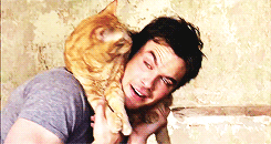rhodenss:  Prince Charmings↪ Ian Somerhalder 