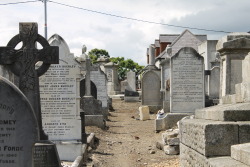 trashling:  Graveyard scout in Dublin, July