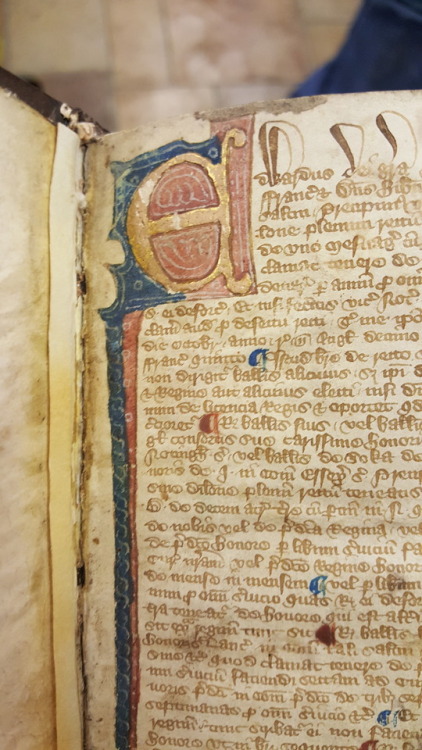 Here are some very belated pictures from this summer. The book is a 1350 Latin edition of the Magna 