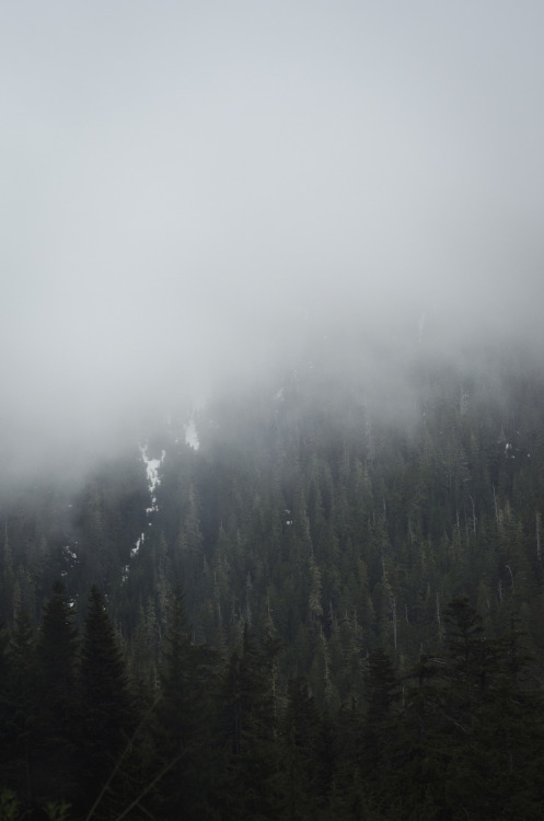 autumnsaurora: Western Fog © Autumns AuroraTumblr Flickr Instagram