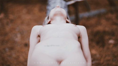 Porn photo corwinprescott:  “Breath”Pine Barrens,