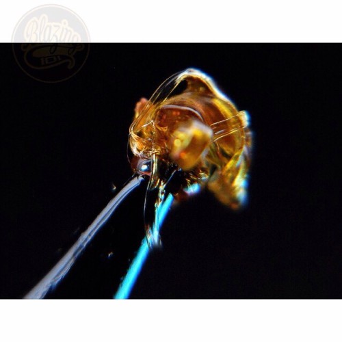 weedporndaily:  A-little-dab-a-do💨 by @blazing101